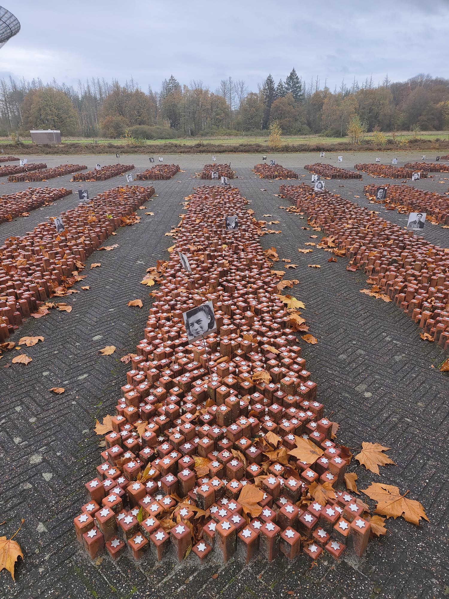 202512Wetterbork3-Copy